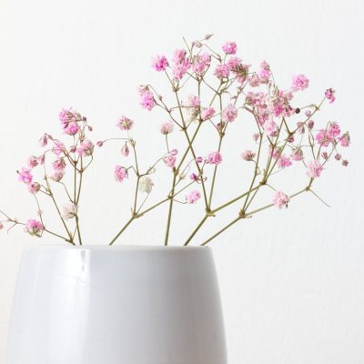fleurs4 fleurs4